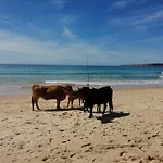 El Nido